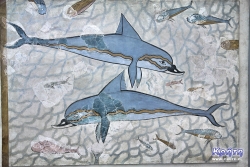 Delfiny z Knossos